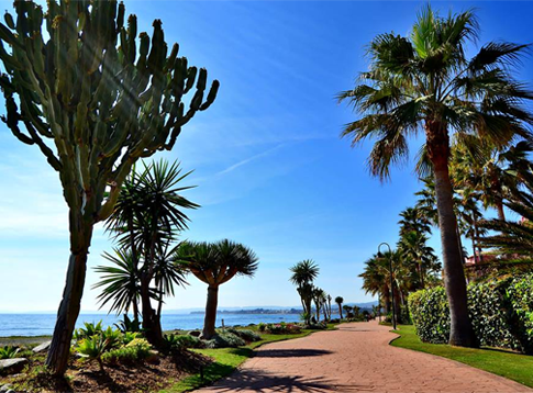 Wandelpad naar de beachclub